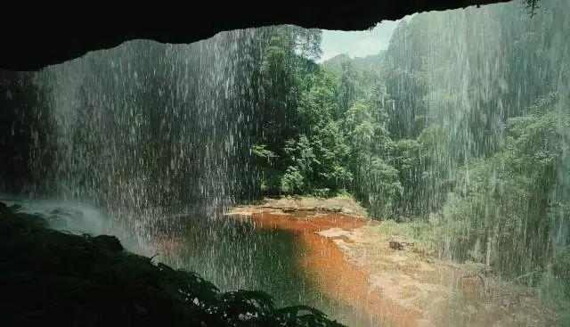 逃离椰子岛